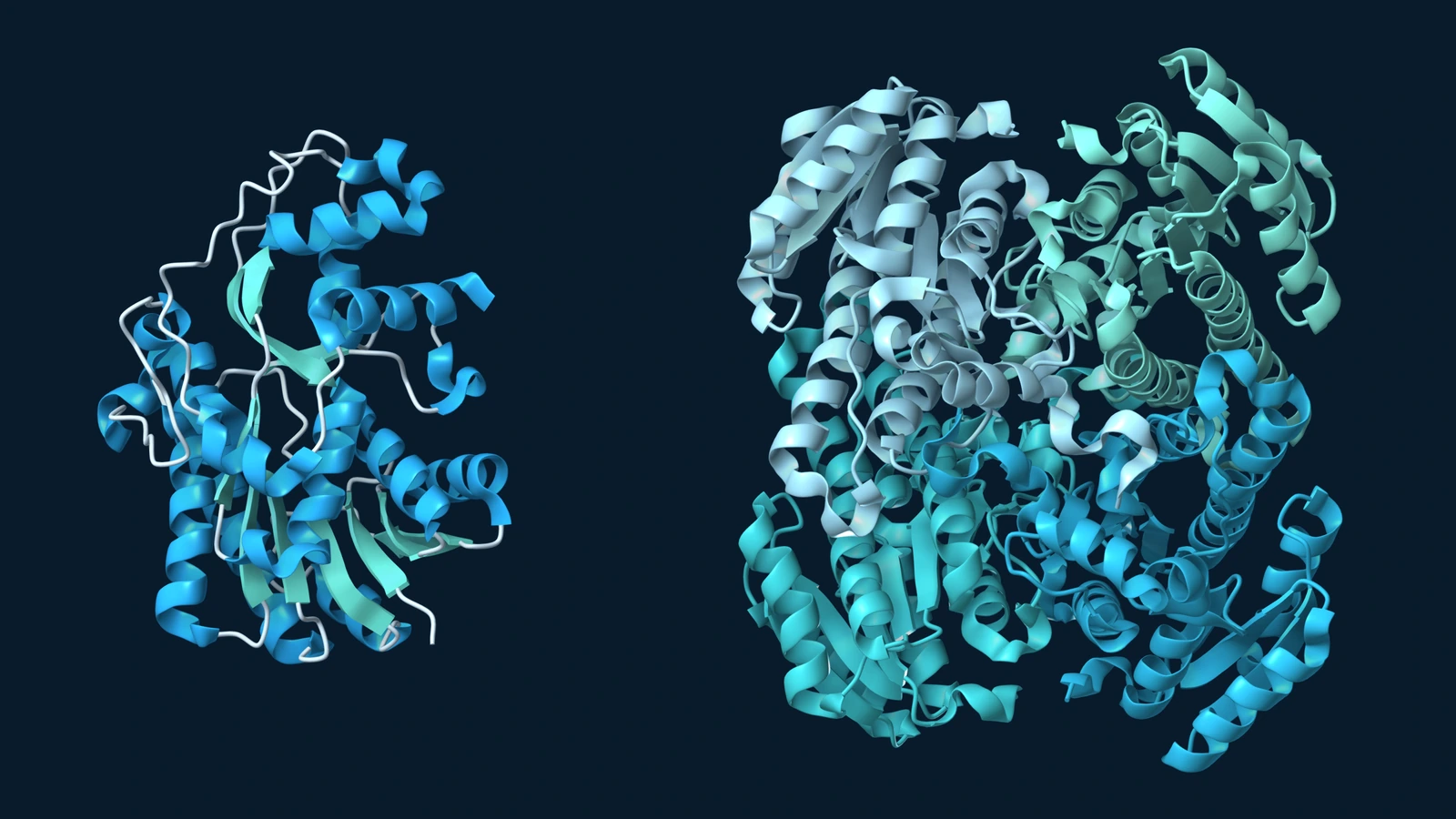 Ribbon models of a carbonyl reductase monomer and a glucose dehydrogenase tetramer shown separately.