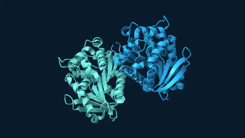 Blue and teal subunits of the marine bacterial esterase ThaEst2349 against a dark navy background.