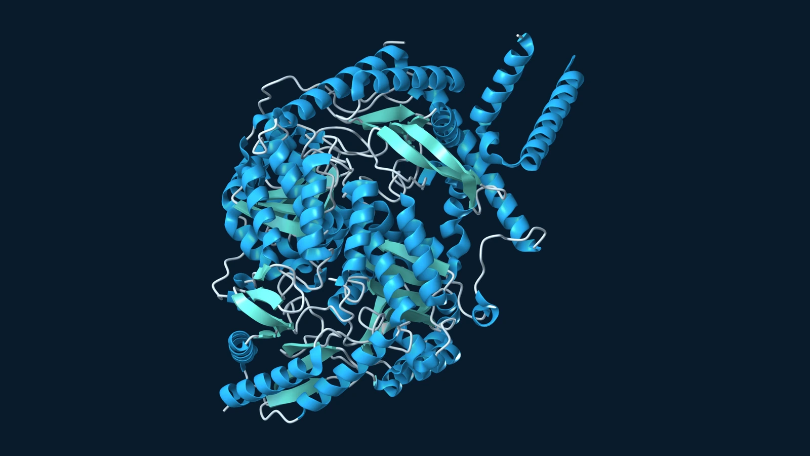 Ribbon structure of the human serine palmitoyltransferase complex, with blue helices and teal sheets.