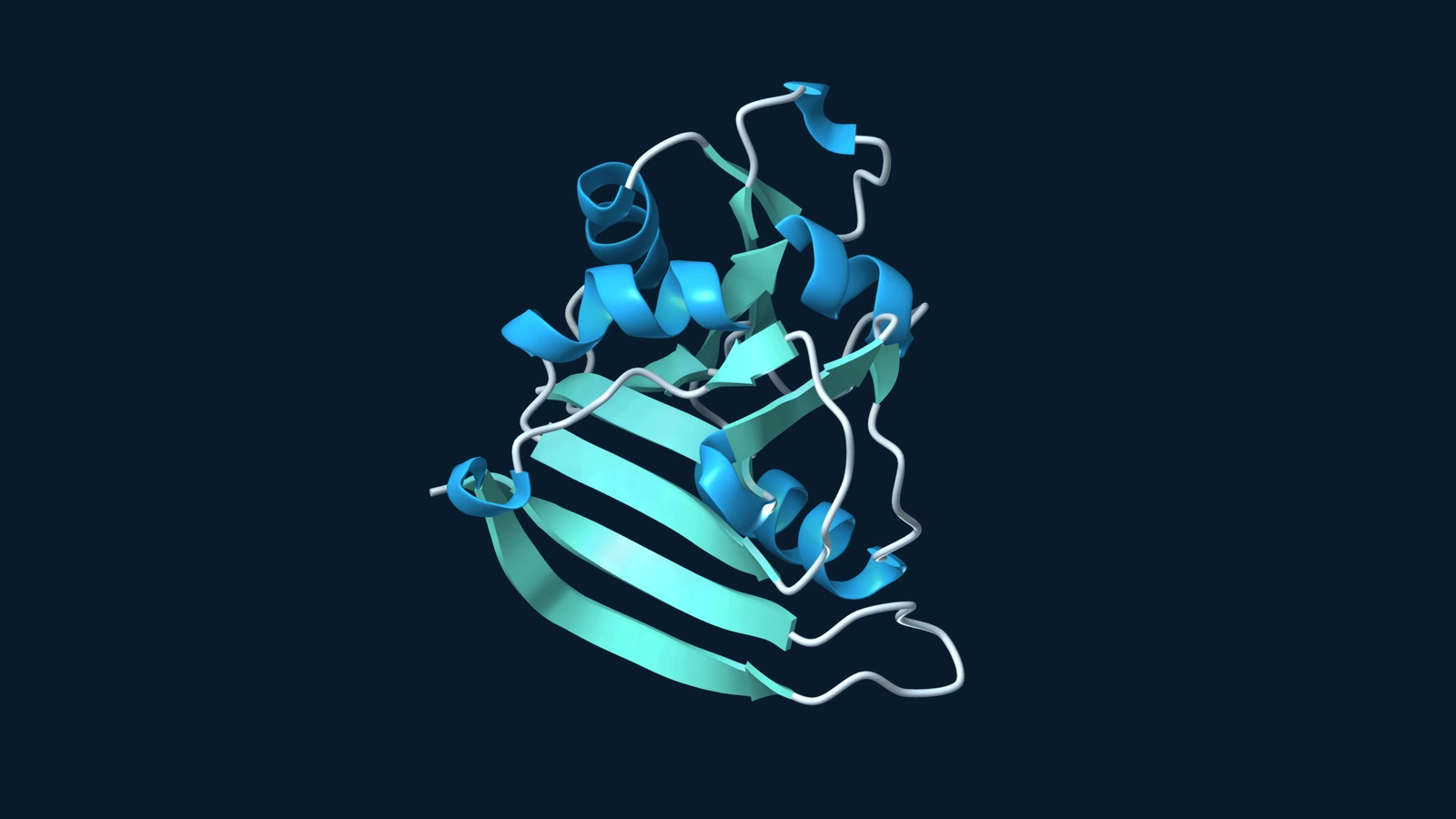 Ribbon rendering of an AlphaFold 2 prediction for E. coli dihydrofolate reductase.