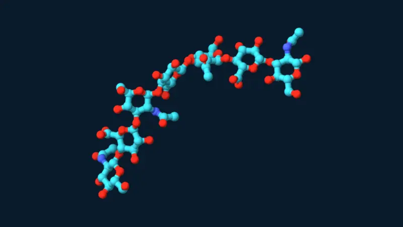 Ball-and-stick model of a short hyaluronan sugar chain with cyan carbon and red oxygen atoms.