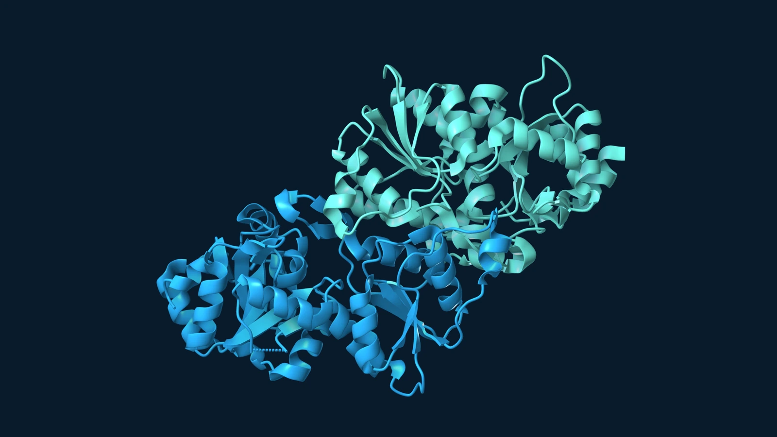 Two subunits of a mouse G3PP/PGP reference structure, coloured blue and teal on a dark navy background.