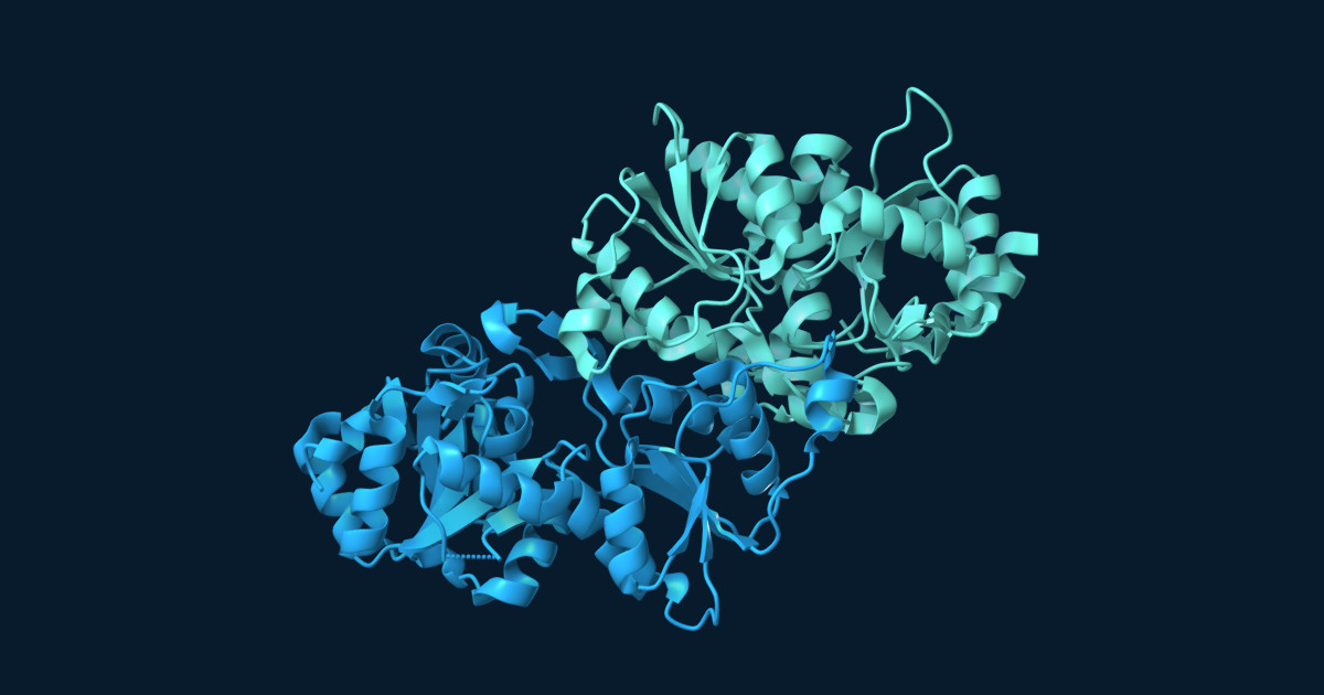 Two subunits of a mouse G3PP/PGP reference structure, coloured blue and teal on a dark navy background.