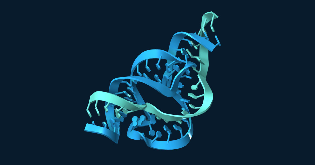 Blue and teal RNA strands in a hammerhead ribozyme structure, shown against a dark navy background.