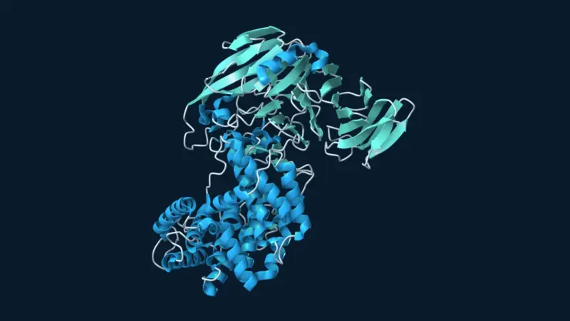 Ribbon structure of the HylA bacterial enzyme, showing its helical and sheet-rich domains.