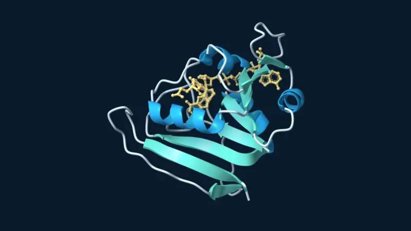 Blue and teal ribbon model of dihydrofolate reductase with bound folate and NADP shown in gold.