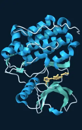Blue and teal ribbons of the EGFR kinase surrounding the inhibitor erlotinib, shown in gold.