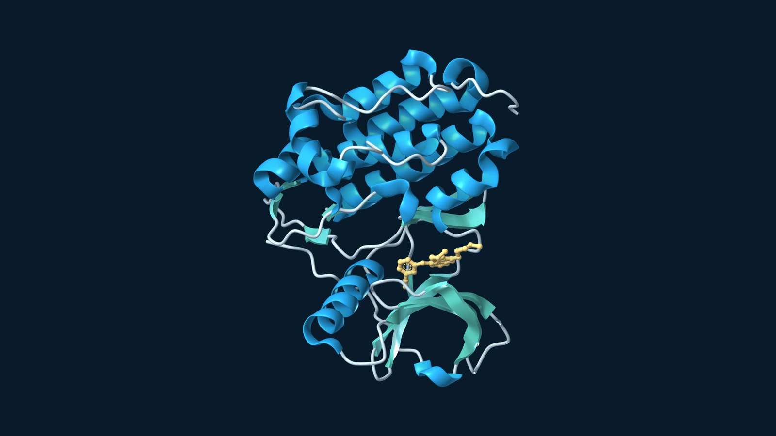 Blue and teal ribbons of the EGFR kinase surrounding the inhibitor erlotinib, shown in gold.