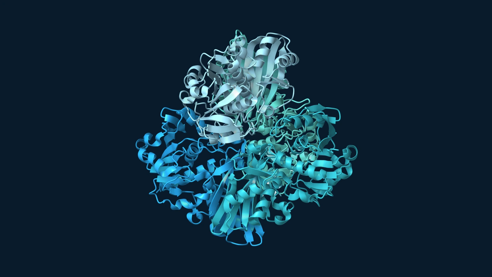 Four GAPDH subunits shown as blue and teal ribbons against a navy background.