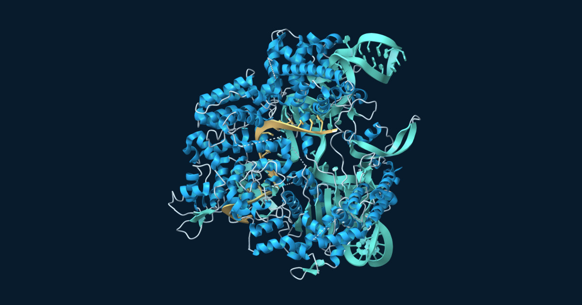 Ribbon model of a Cas9 protein surrounding guide RNA and target DNA on a dark navy background.