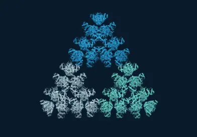 Blue, teal and pale-blue citrate synthase subassemblies form a larger triangle with a central triangular opening.