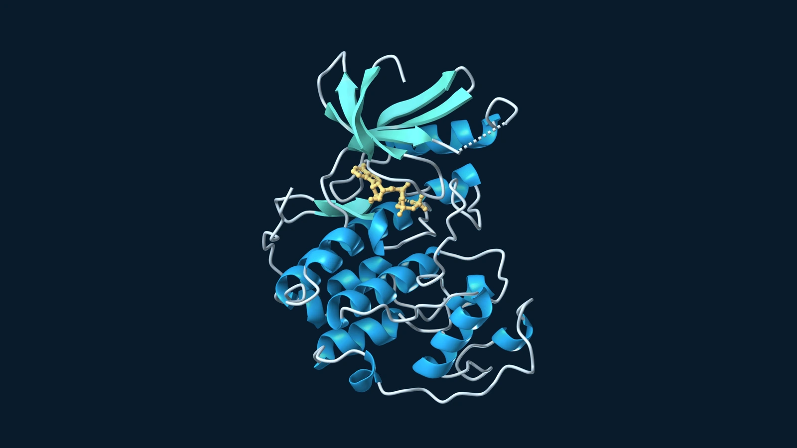 Blue and teal ribbon structure of CDK2 with bound ATP shown in gold.