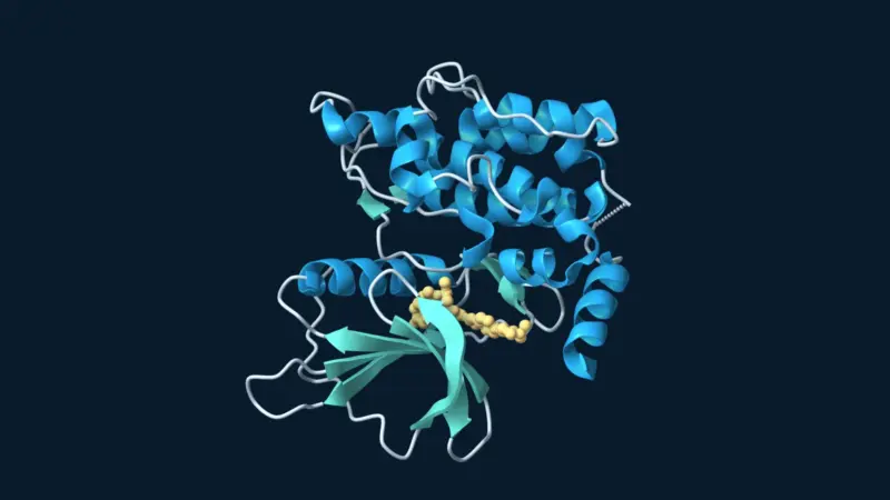 Blue and teal TNIK kinase domain with the bound drug candidate rentosertib highlighted in gold.