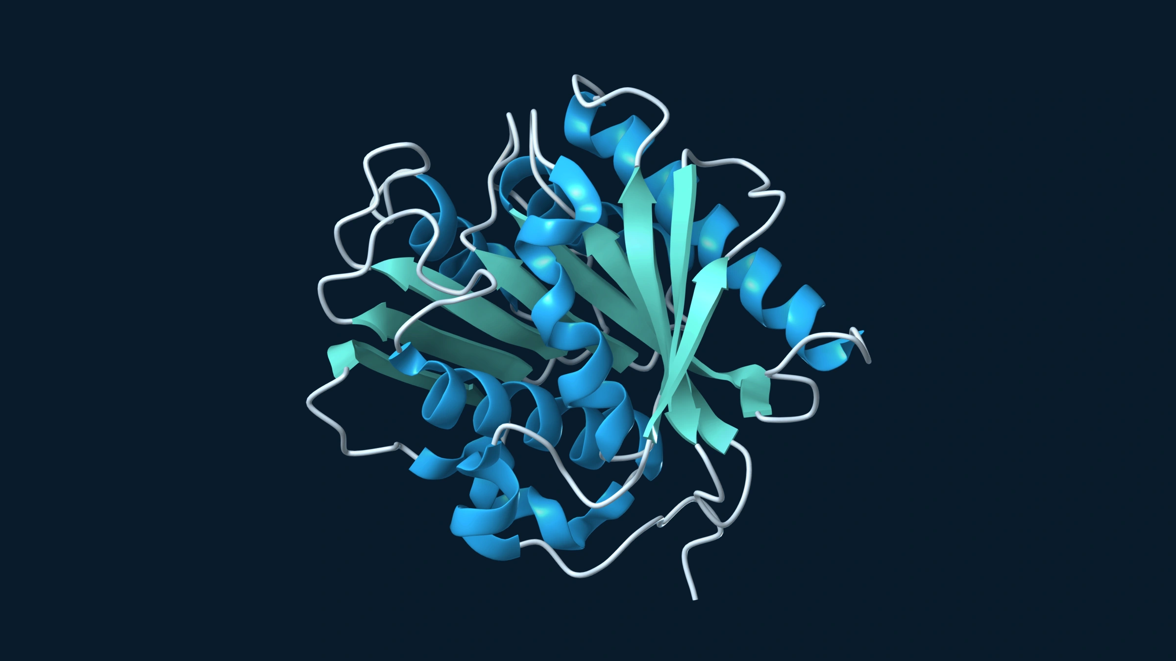 Ribbon model of IsPETase showing blue alpha-helices, teal beta-sheets and pale connecting loops.