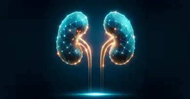 Two stylised kidneys with a blue wireframe surface and gold ureters against a dark background.