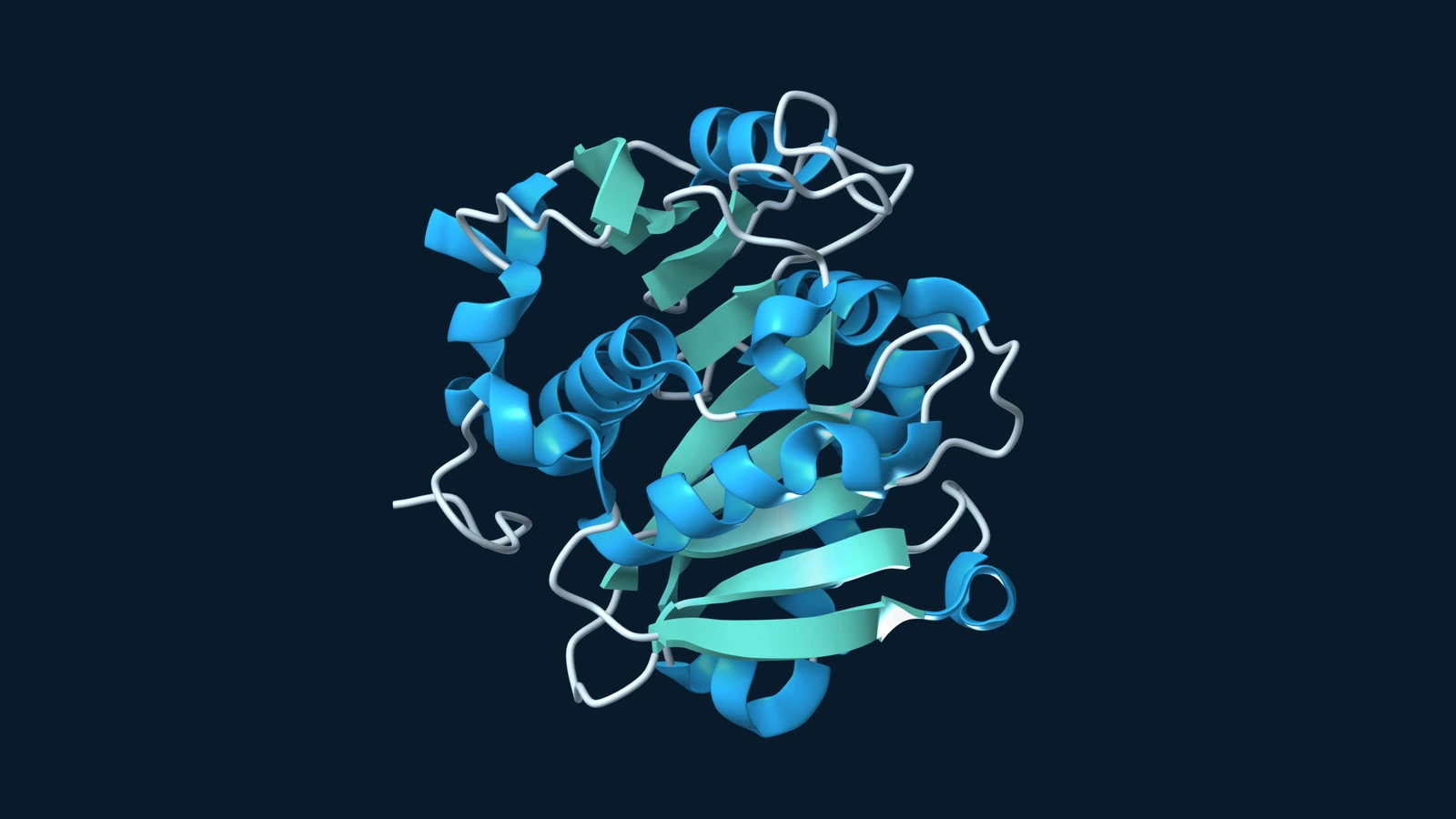 Ribbon structure of the LCC cutinase, with blue helices and teal sheets on a navy background.