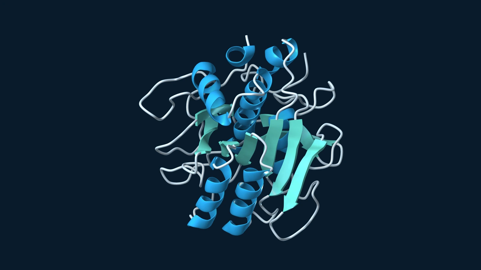 Ribbon structure of PB92 protease, showing blue helices, teal sheets and pale loops.