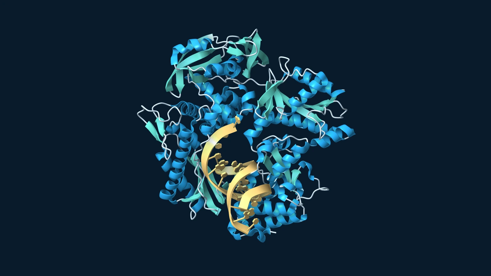 Blue and teal KOD polymerase ribbons surrounding a gold DNA primer–template duplex.