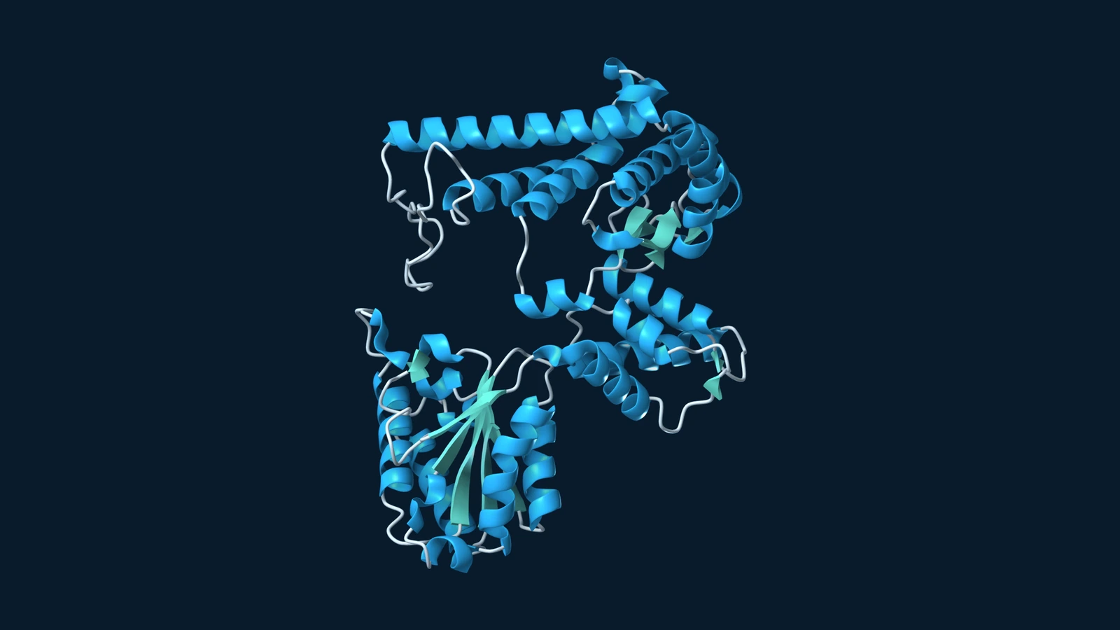 Predicted core of the tomato FtsH protease, with blue helices, teal sheets and pale loops.