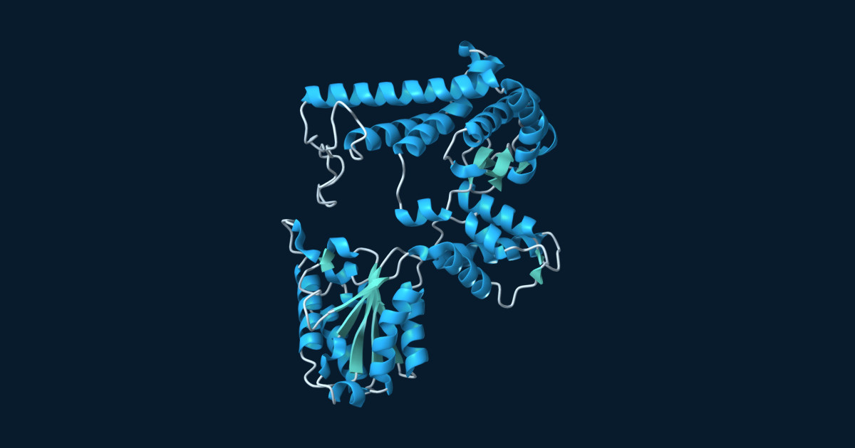 Predicted core of the tomato FtsH protease, with blue helices, teal sheets and pale loops.