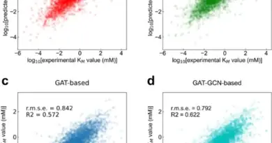 The effectiveness or outcomes of GraphKM models in their specific applications.