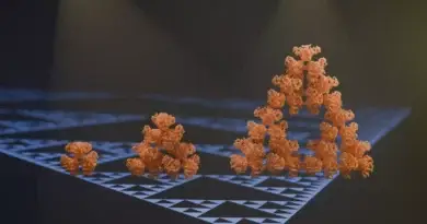 Illustration of citrate synthase molecules self-assembling into Sierpiński triangle fractals, a novel discovery in enzyme structure.