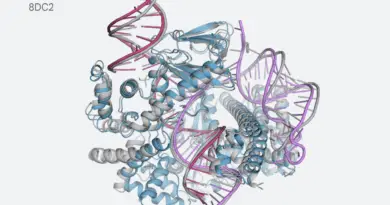 AlphaFold 3 prediction of a biomolecular complex showing detailed interactions between proteins and nucleic acids.