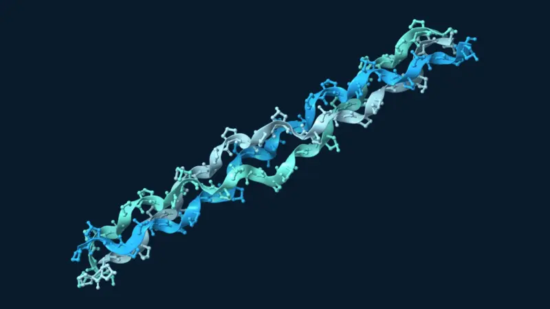 Three intertwined chains of a collagen-like peptide, coloured blue, teal and pale blue.