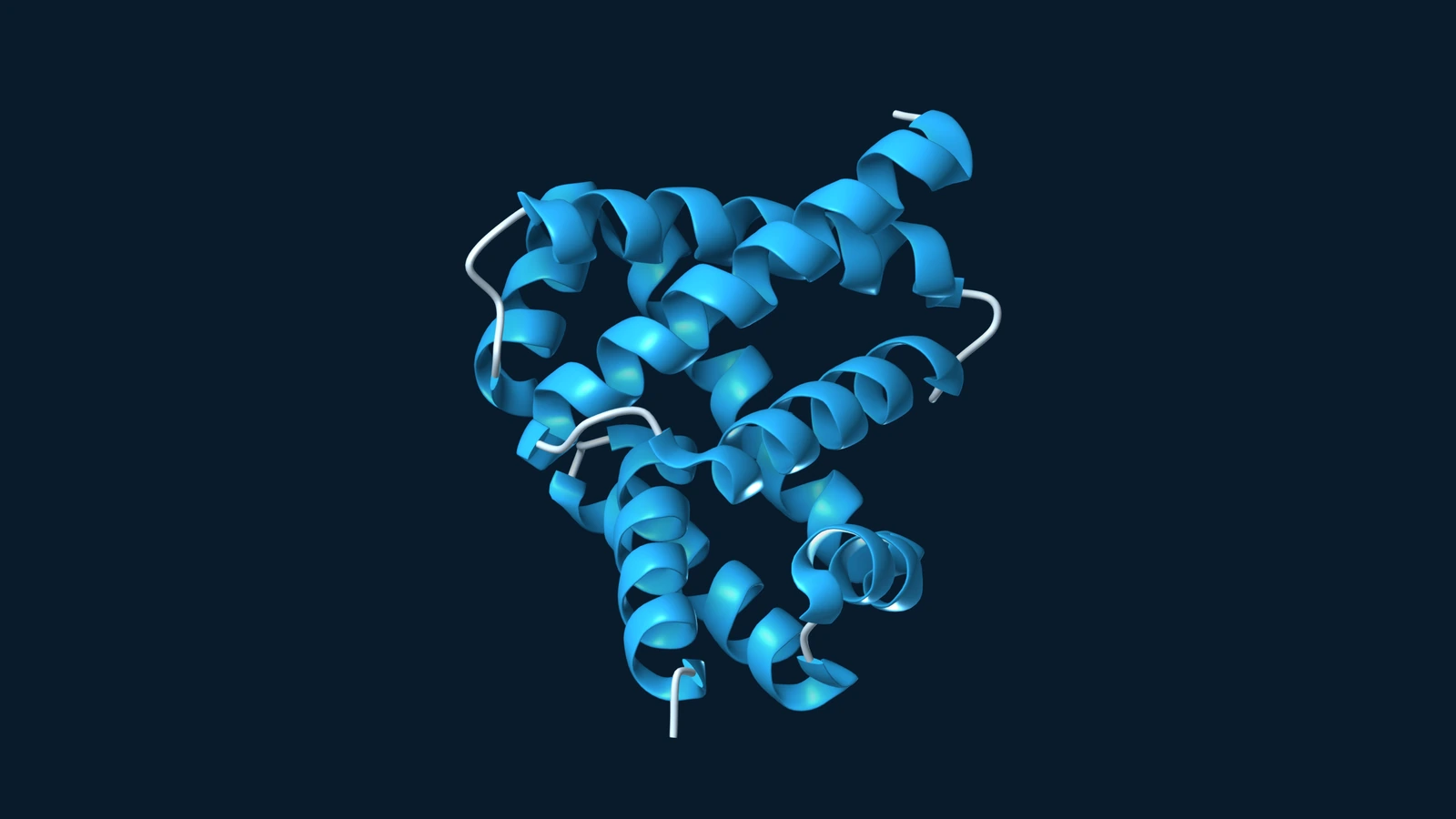 Blue ribbon model of the designed serine hydrolase win31, showing its folded helical structure.