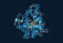 Ribbon structure of the engineered PaDa-I peroxygenase, with a gold heme cofactor surrounded by blue helices on a dark background.