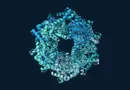 Ten subunits of E. coli fructose-6-phosphate aldolase form a ring-shaped assembly, shown as blue and teal ribbons on a dark background.
