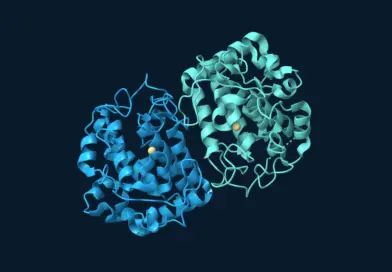 Two tyrosinase protein chains shown as blue and teal ribbons, with the deposited copper ions in gold against a dark background.