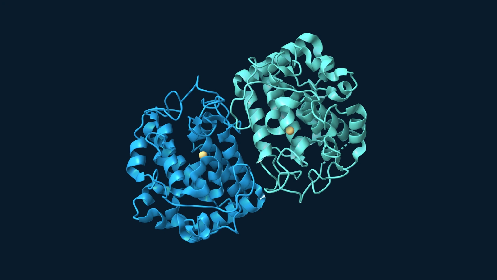 Two tyrosinase protein chains shown as blue and teal ribbons, with the deposited copper ions in gold against a dark background.
