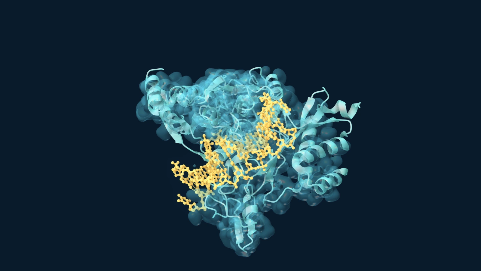 Aqua EcoRI protein ribbons surround gold DNA, revealed through a cutaway translucent molecular surface on dark navy.