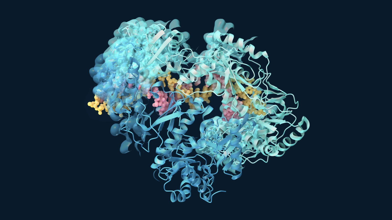 A translucent mint-and-blue cutaway of HIV-1 reverse transcriptase reveals coral RNA and gold DNA atoms in its central cleft against navy.