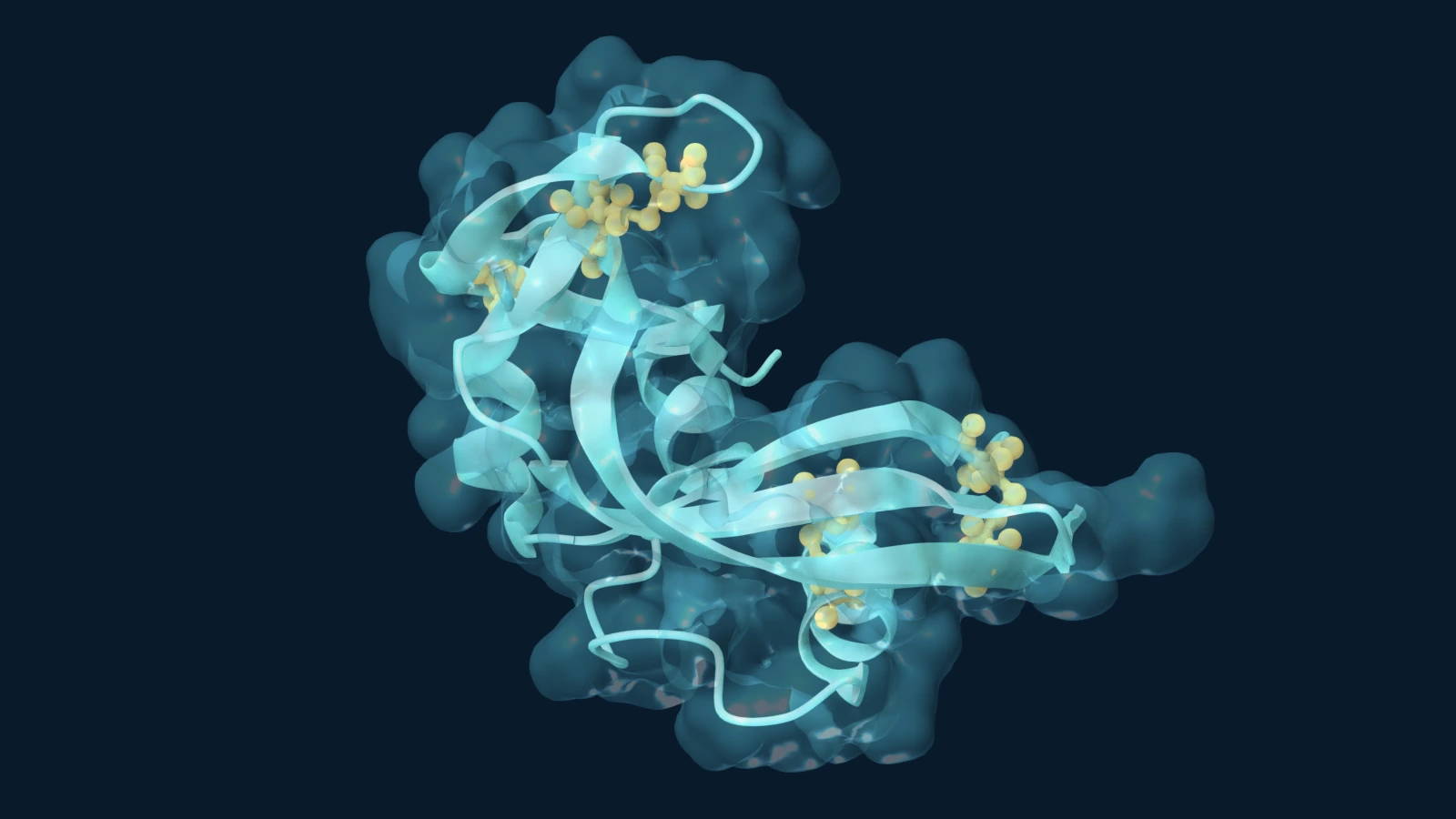 Bovine RNase A in aqua ribbons with gold cysteine cross-link highlights and a translucent blue cutaway surface against EnzymeNews navy.