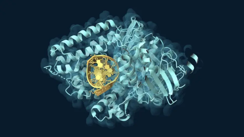 Dramatic molecular portrait of Taq DNA polymerase surrounding a short DNA duplex against a dark navy background.