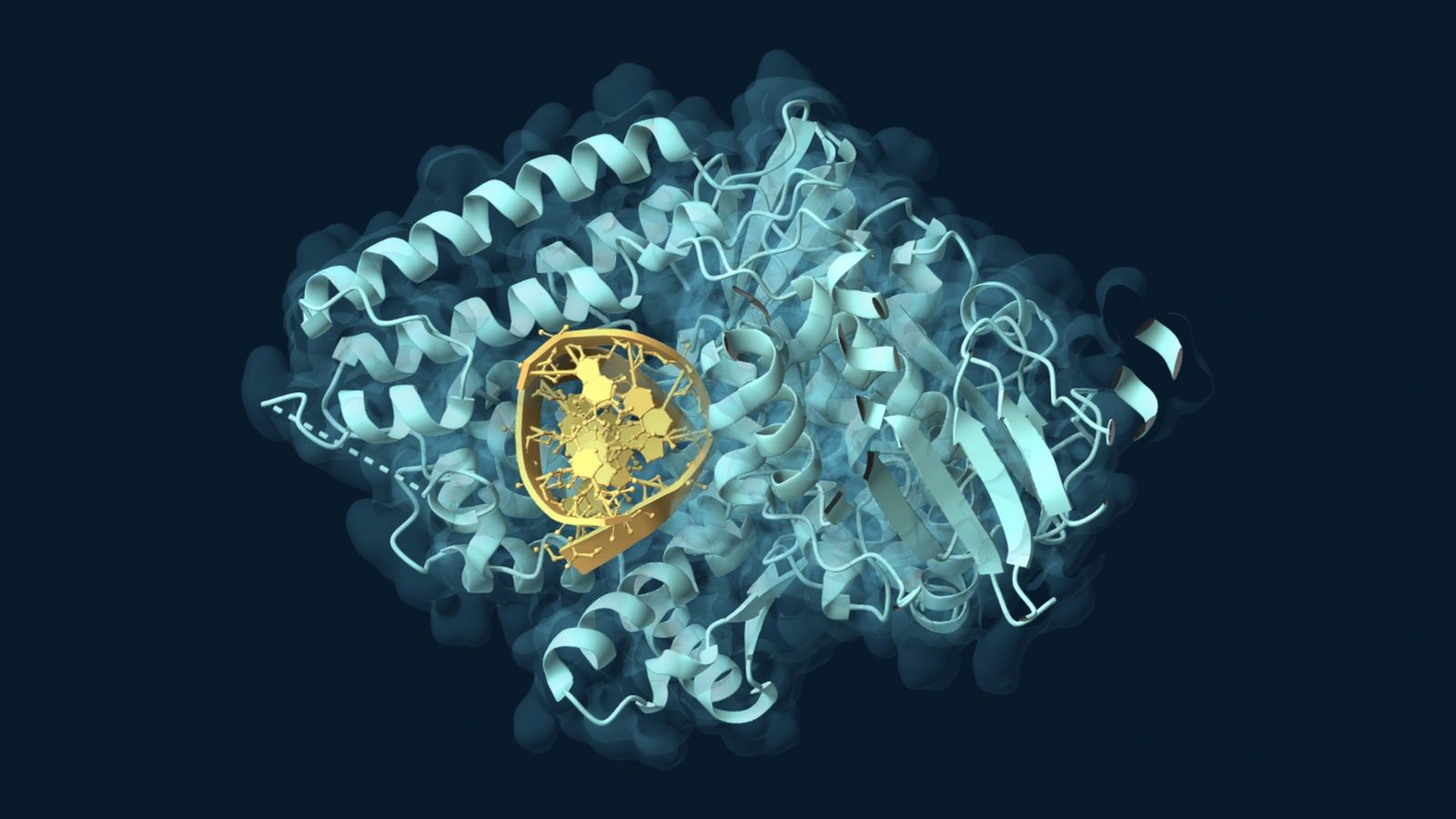 Dramatic molecular portrait of Taq DNA polymerase surrounding a short DNA duplex against a dark navy background.