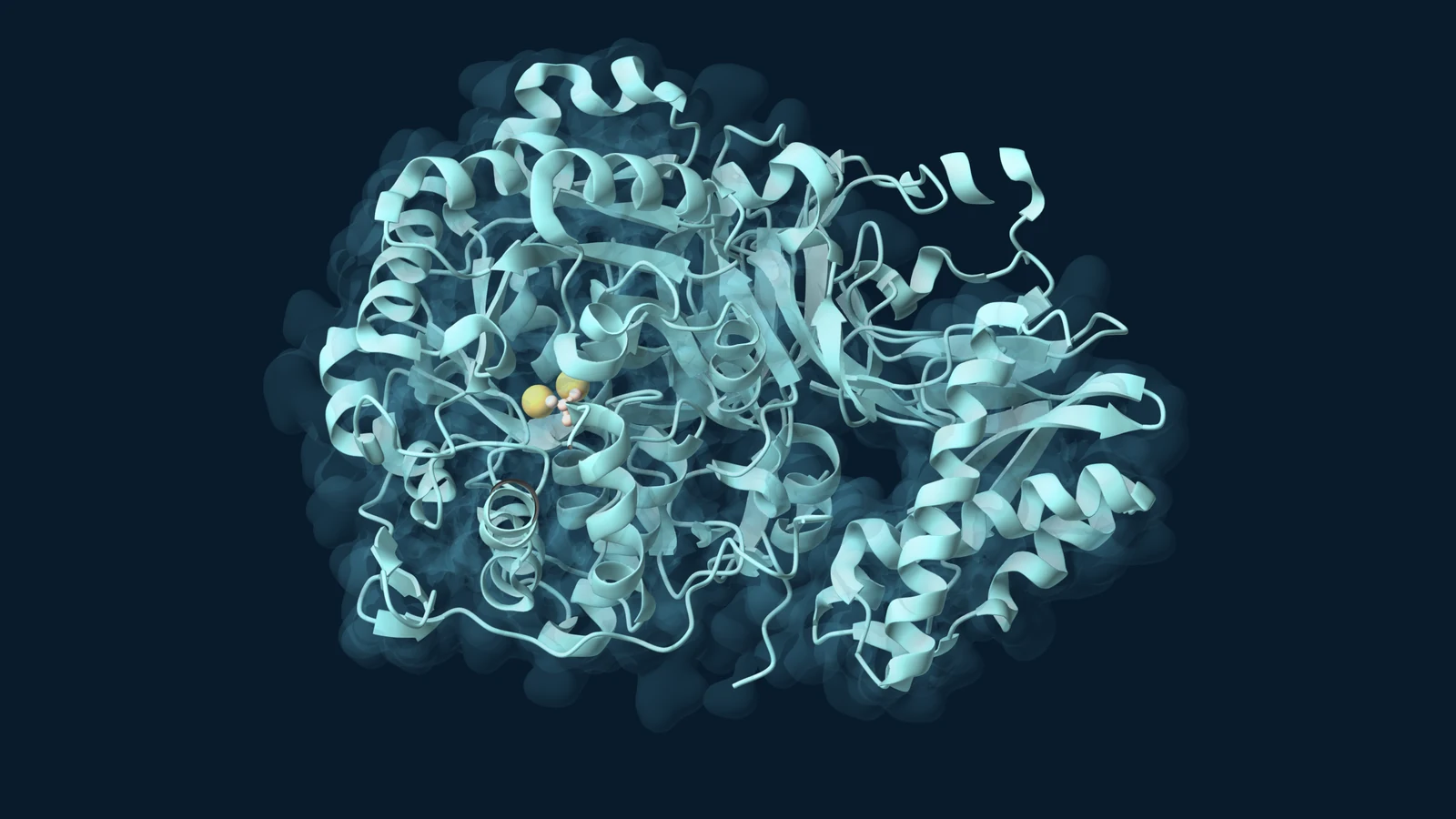 Aqua ribbons and a translucent blue surface reveal a bacterial urease catalytic unit, with two gold-rendered nickel ions and peach-coloured urea at its active site against a dark navy background.